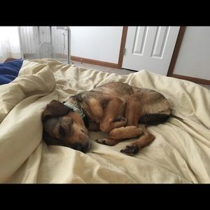 Meet your Posher, Marjorie